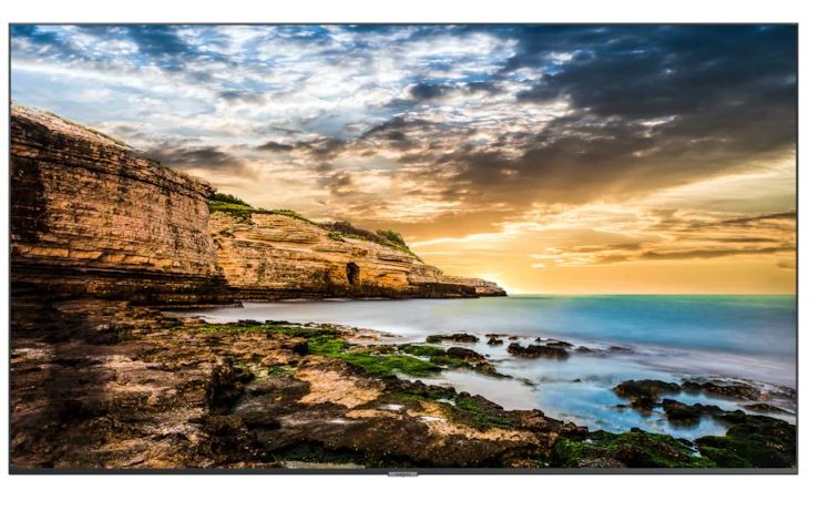 Monitor profesjonalny  QE43T 43 cale Błyszczący 16h/7 300(cd/m2) 3840x2160 (UHD) Lite Player (only)  3 lata On-Site (LH43QETELGCXEN)