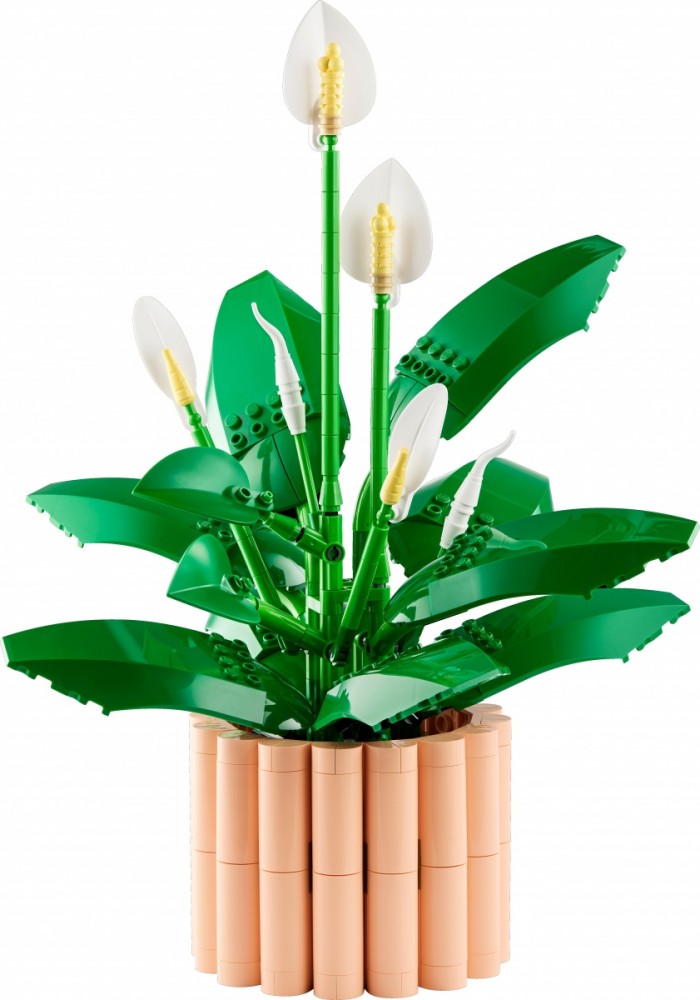 Klocki Botanicals 11504 Skrzydłokwiat