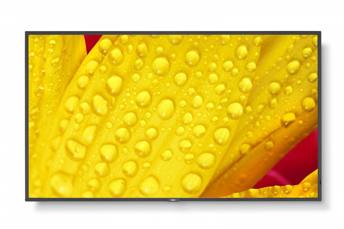Monitor wielkoformatowy MultiSync M651-2 65 cali UHD 500cd/m2 24/7 