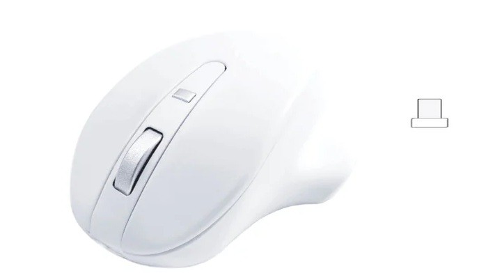 Mysz bezprzewodowa - Wireless USB-C Pro Mouse White 