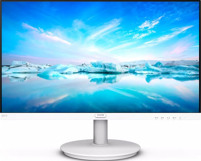 Monitor 241V8AW 23.8 cala IPS HDMI Głośniki Biały 