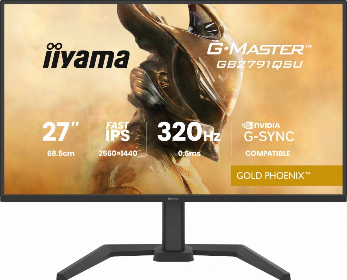 Monitor 25 cali GB2791QSU-B1 0.6ms,DP,2xHDMI 2.1 ,320Hz, Fast IPS,  WQHD,350 cd/m2, USB HUB x4 (2x Type-A, 2x Type-C), G-SYNC compatible - HDMI: 2