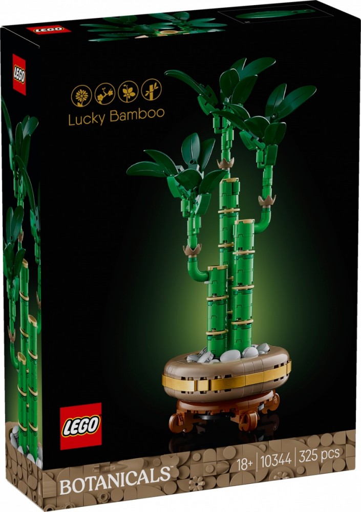 Klocki Botanicals 10344 Dracena sandera 