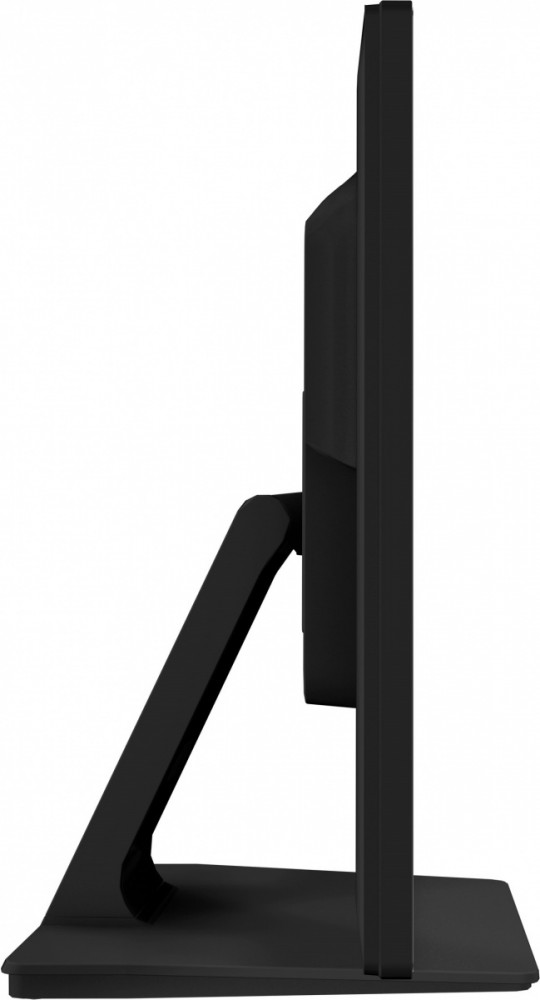 Monitor 23.8 cala T2452MSC-B1 10 PKT. POJ,IPS,HDMI,DP 