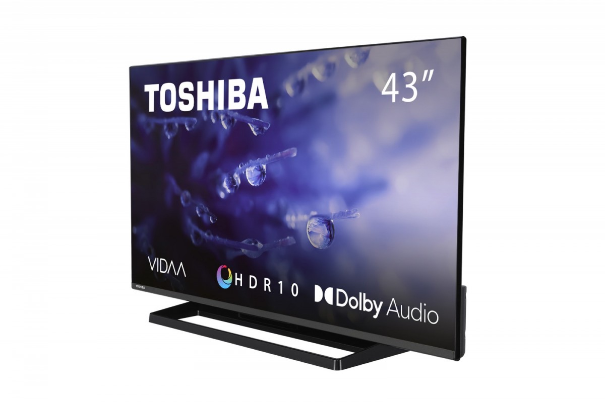 Telewizor LED 43 cale  43LV3E63DG