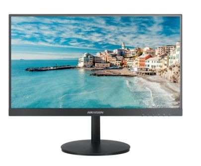 Monitor DS-D5022FN00