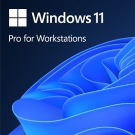 OEM Win Pro for Wrkstns 11 PL  x64     HZV-00117