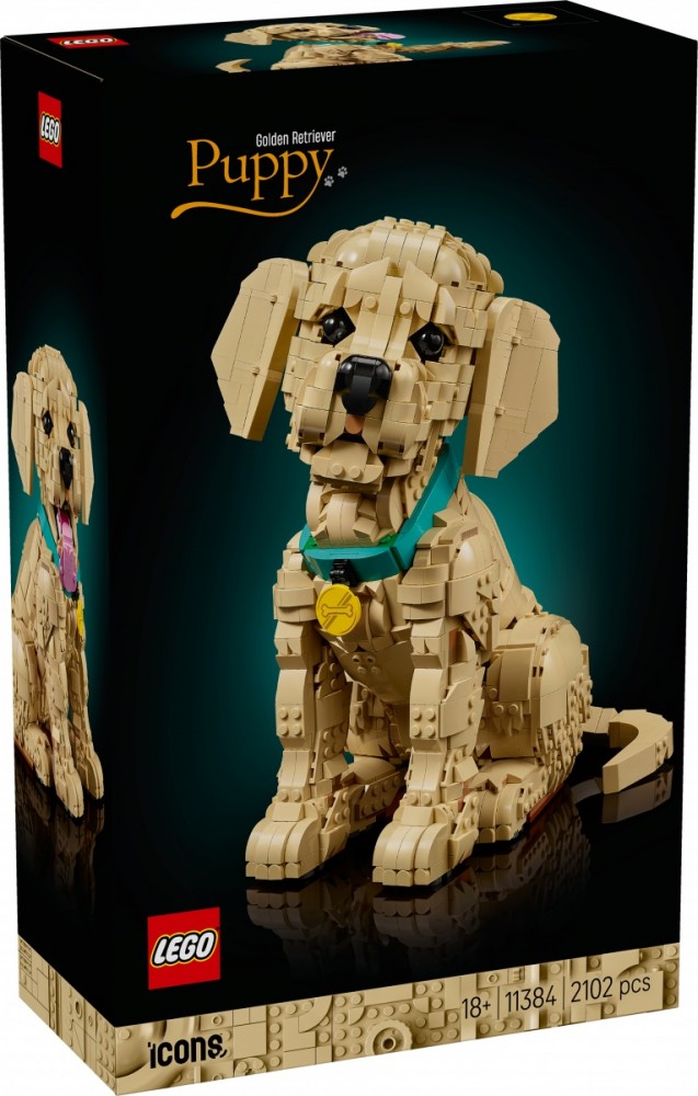Klocki Icons 11384 Szczeniak golden retriever 