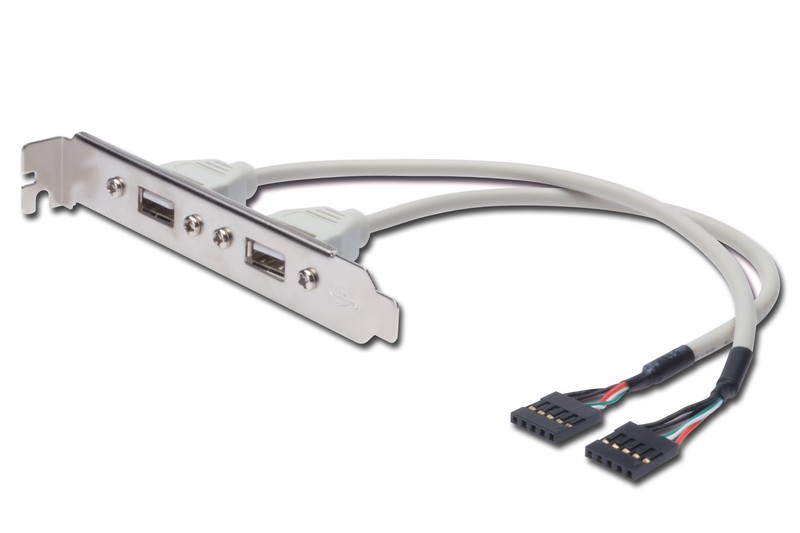 Kabel na śledziu USB 2.0 HighSpeed Typ 2xIDC (5pin)/2xUSB A M/Ż 0,25m Szary 