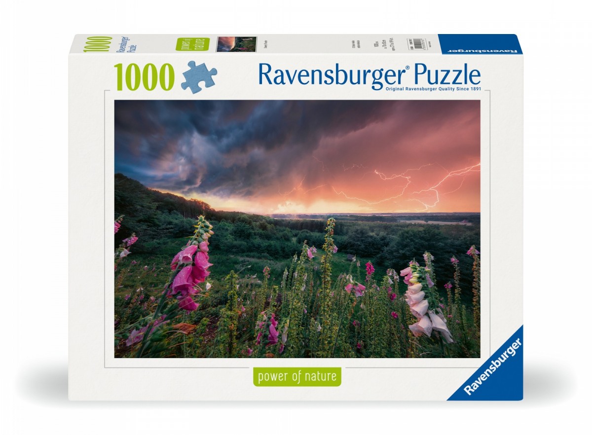 Puzzle 1000 elementów Nadchodzi burza