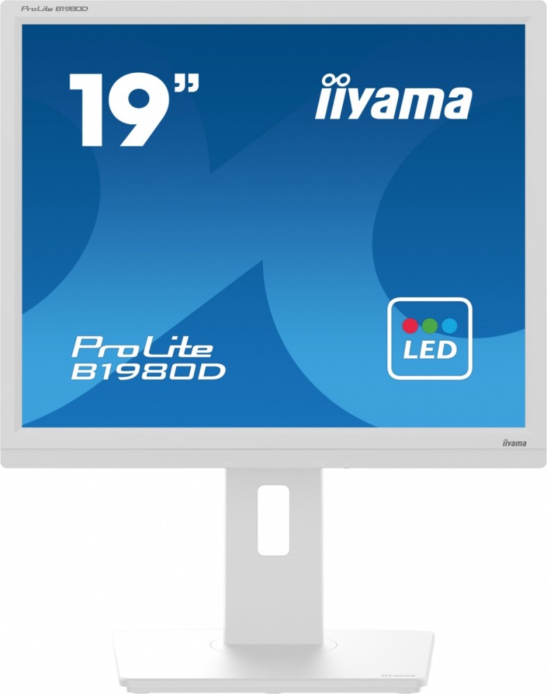 Monitor 19 cali B1980D-W5 DVI,VGA,PIVIOT,HAS/150mm,5:4 