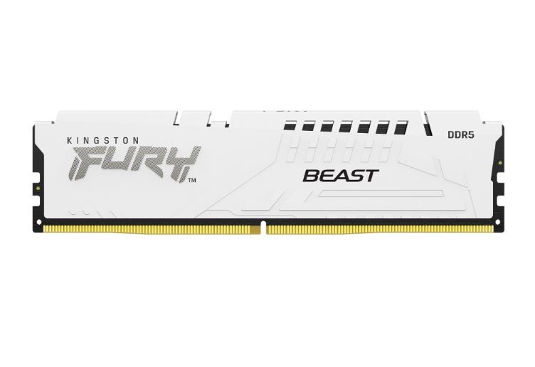 Pamięć DDR5 Fury Beast 32GB(1*32GB)/6000 CL30 EXPO biała